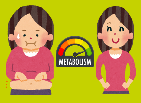 metabolism and weight loss